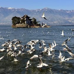Erhai Lake 2